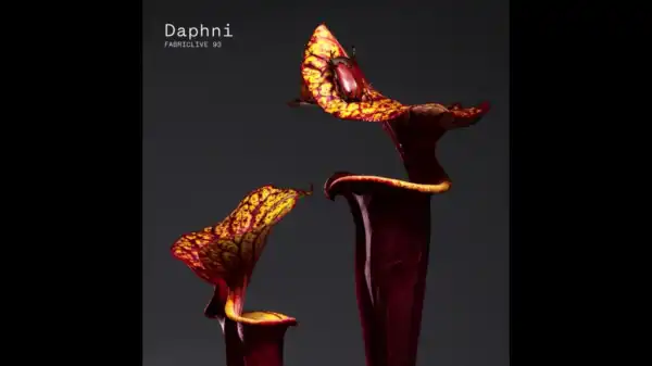 Daphni - Always There